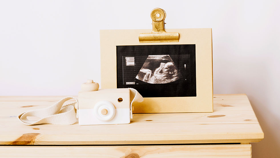 VR Surrogacy consultants